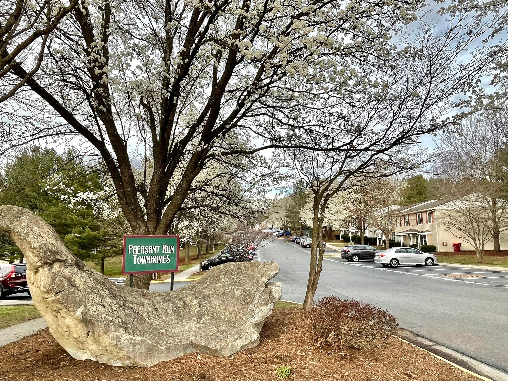 Building Photo - 200 Janie Ln