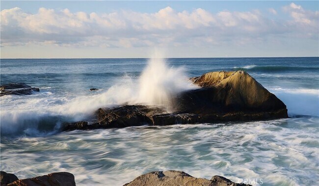 Building Photo - 33626 Tidewater Dr