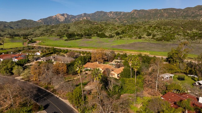 Building Photo - Outdoor Oasis