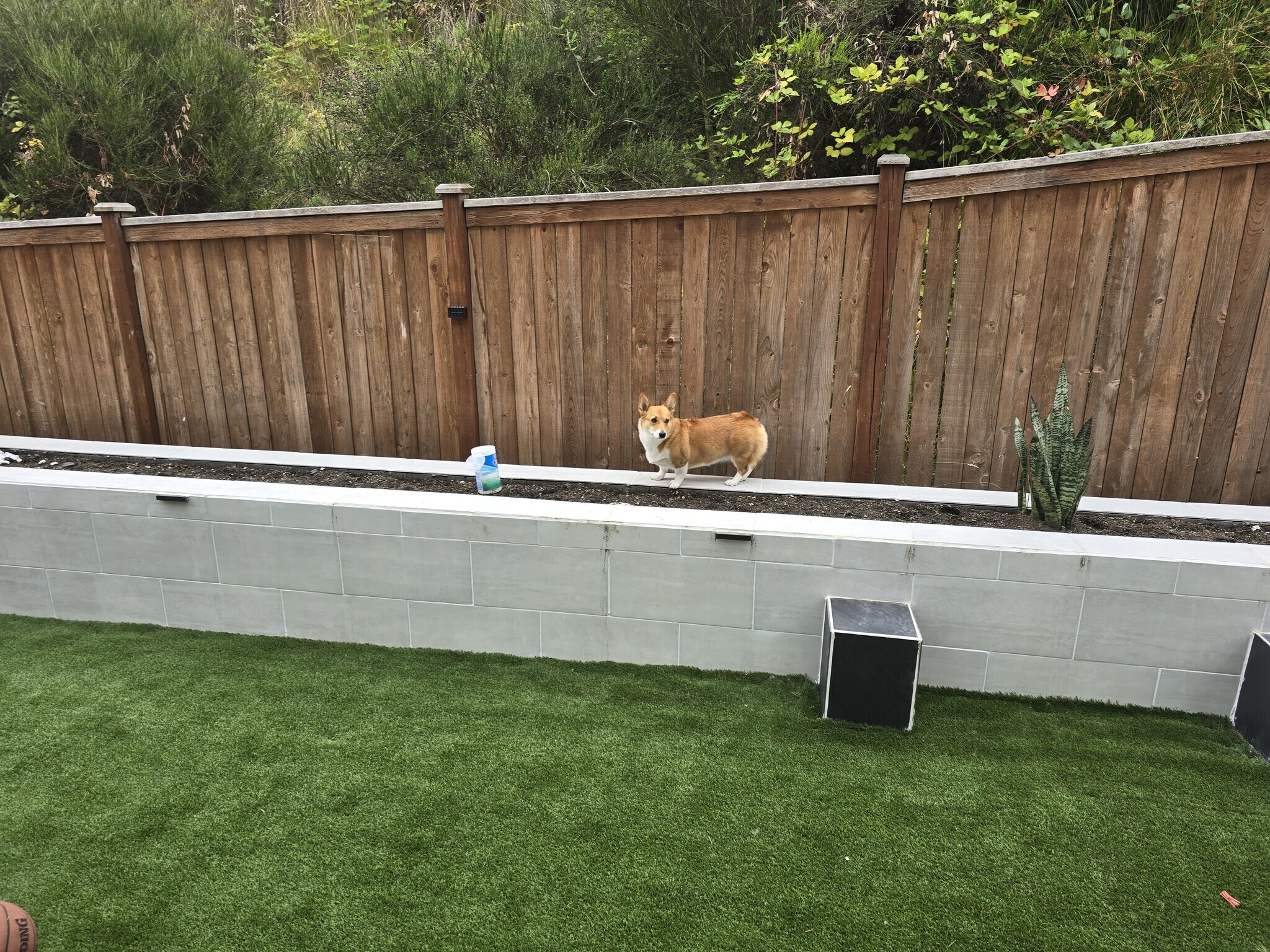 Building Photo - 16301 27th Street Ct E