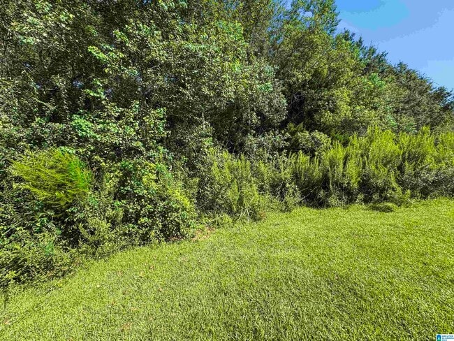 Building Photo - 1343 Cater Lee Way