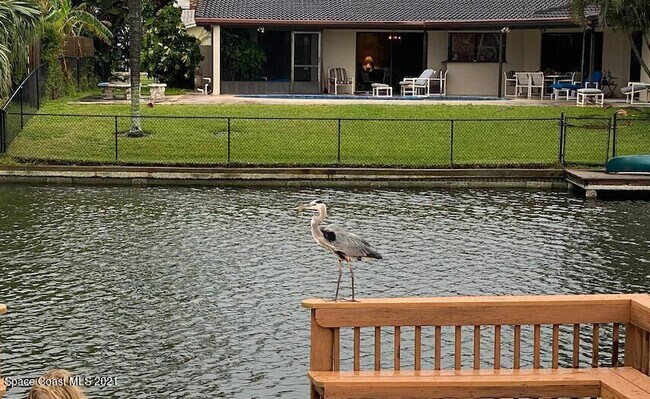 Building Photo - 146 Bimini Rd