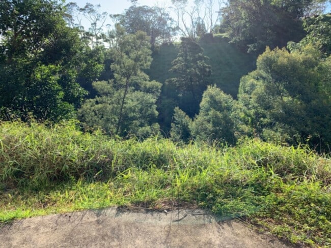 Building Photo - 25 Lumahai Pl