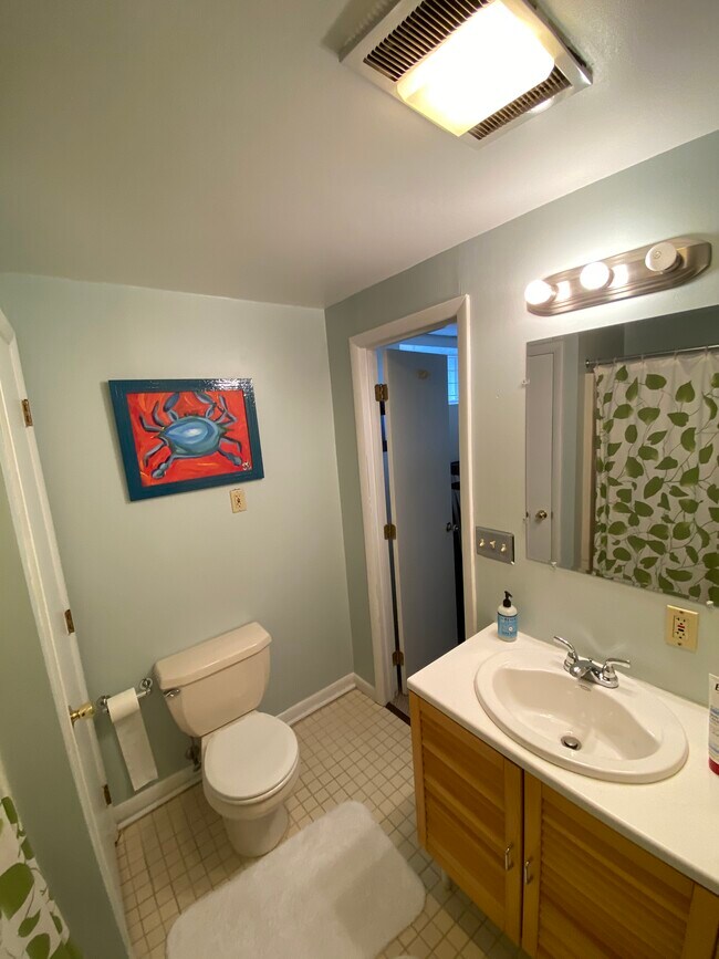 Third Room Bathroom - 145 W Hill St