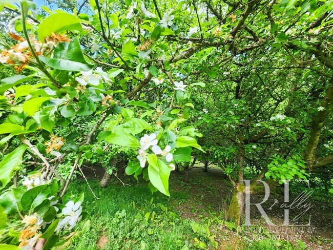 Building Photo - Forest-Edged Retreat with Pasture Access –...