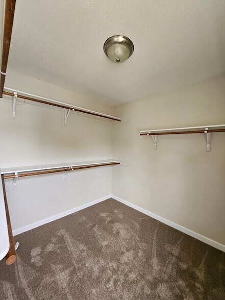 Building Photo - 61 Lawe St