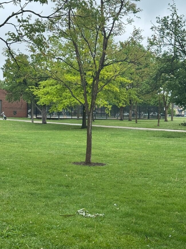 Building Photo - 5484 W Higgins Ave