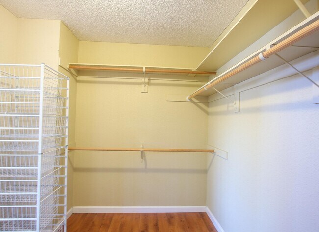 Building Photo - Large 4BR 3BA Updated Home in Quiet Neighb...