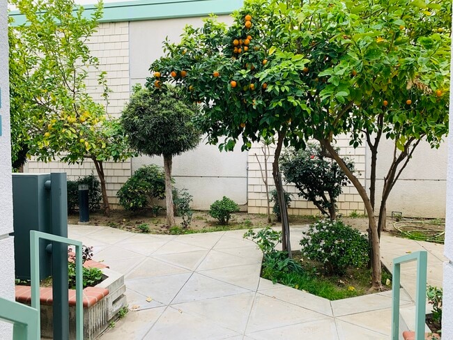 Building Photo - 5301 Balboa Blvd