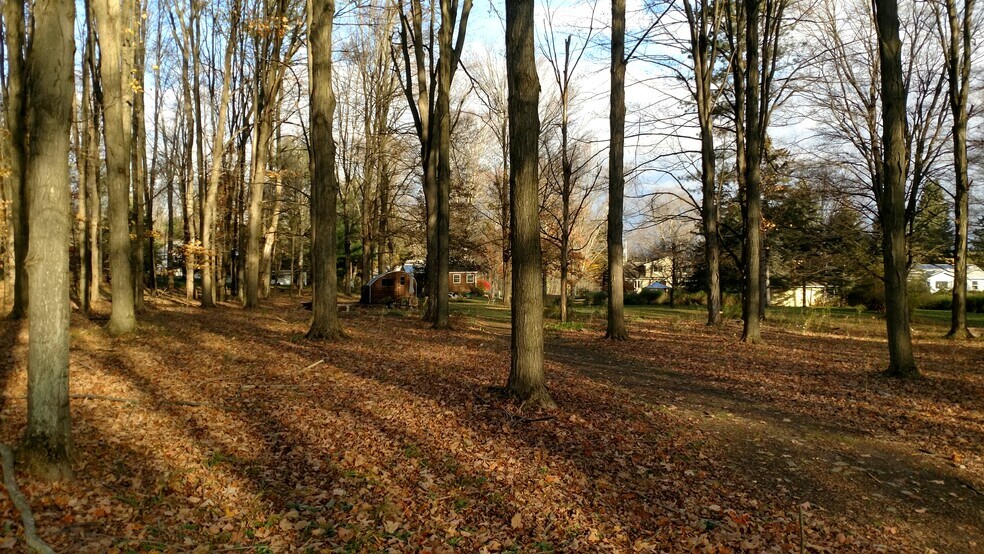 Back woods - 419 King Rd E