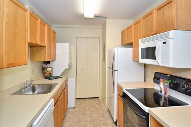 Building Photo - Two Bedroom Classic Style Apartment on the...