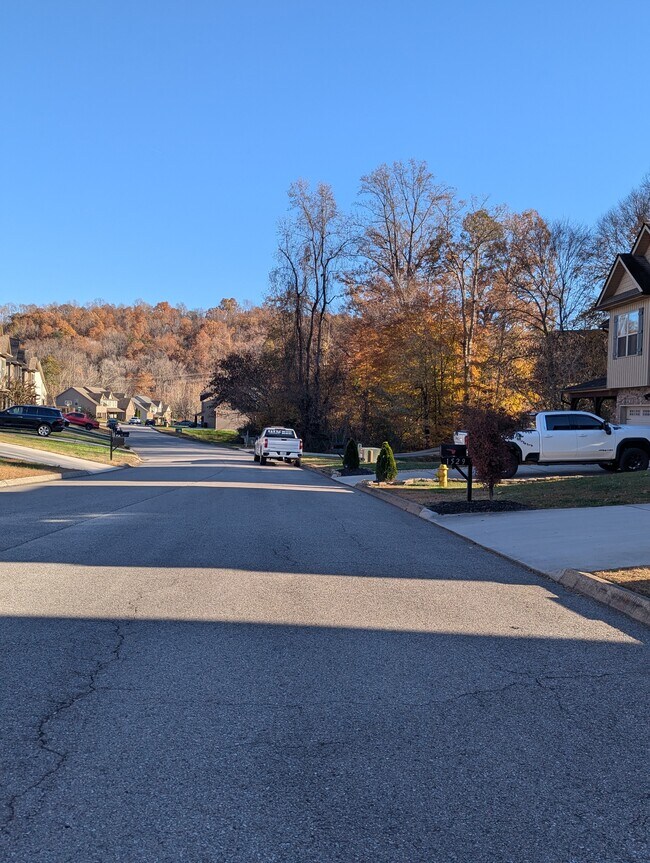 Building Photo - 1533 Yarnell Station Blvd