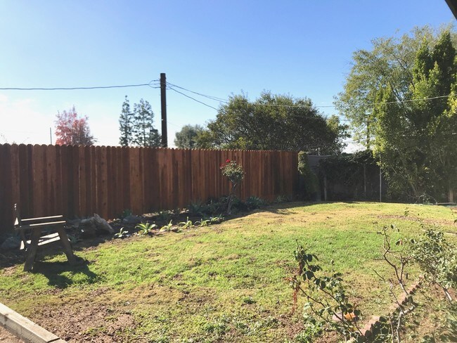 View of backyard - 926 Crestview Dr