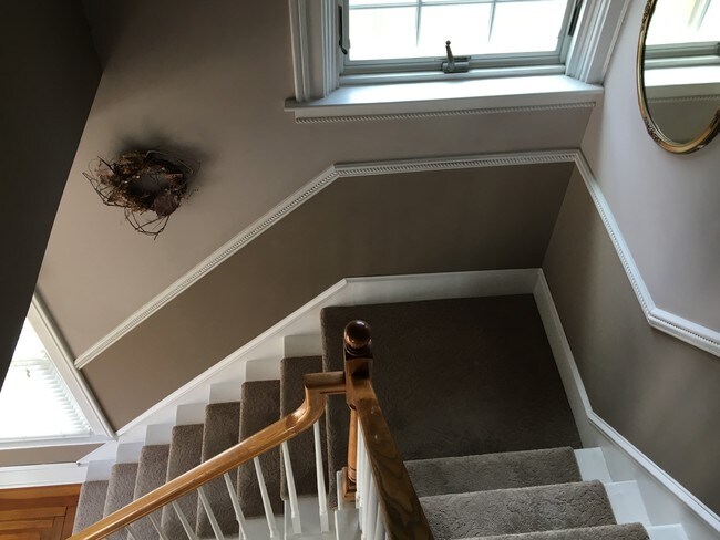 Building Photo - 57 George St