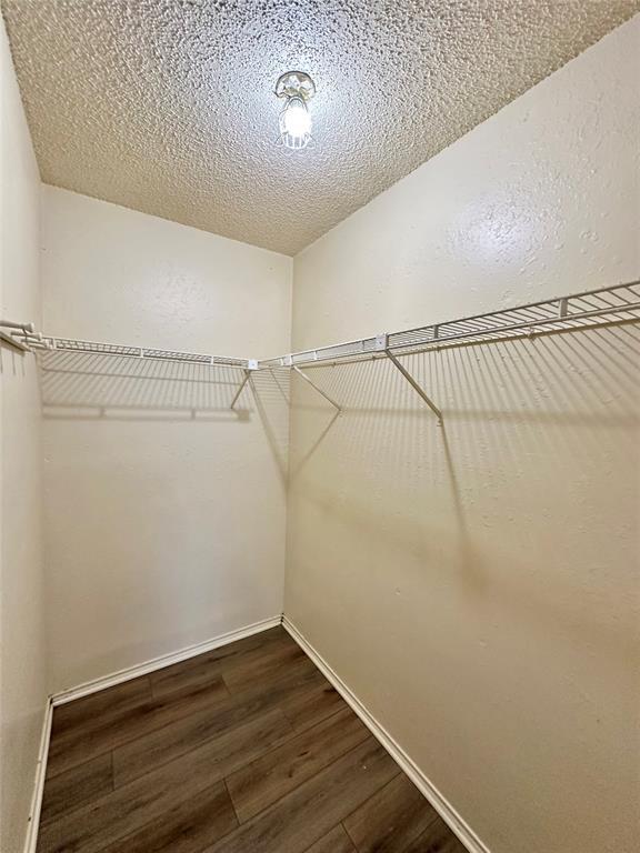 Building Photo - 9103 Japonica Ct