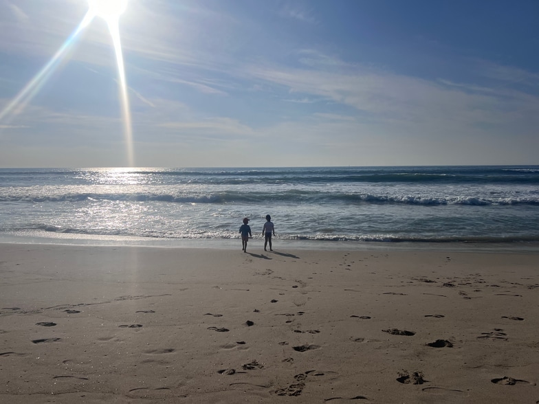 Walk to the beach through trail - 2509 Palm Ave