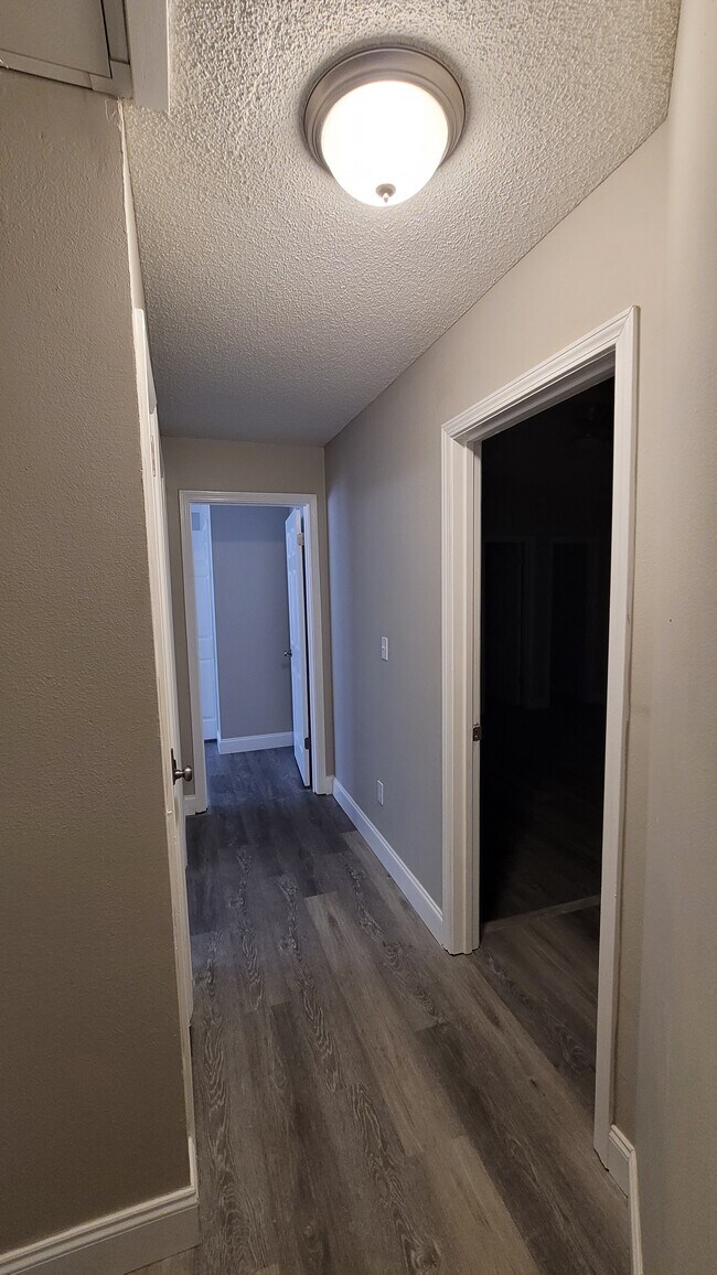 Building Photo - 747 Spring Lake Dr