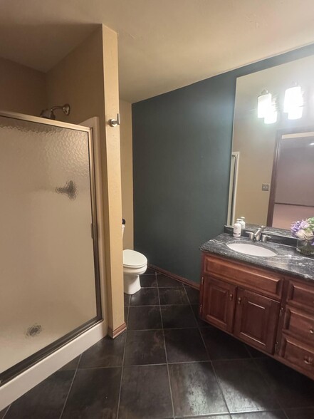 3rd Full Bathroom Basement - 144 Swiss Meadow Ln