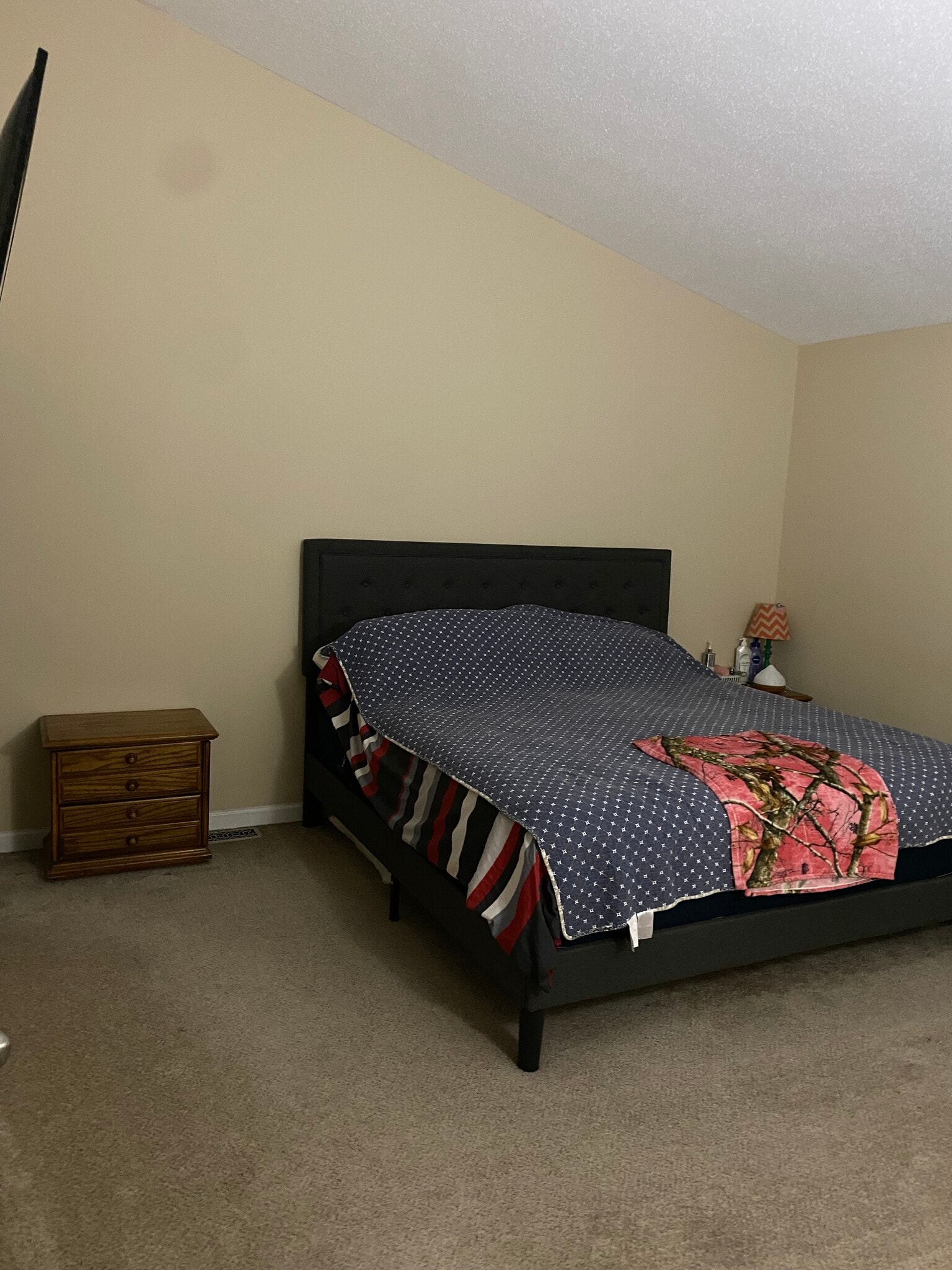 master bedroom - vaulted - 6436 Long Timber Dr