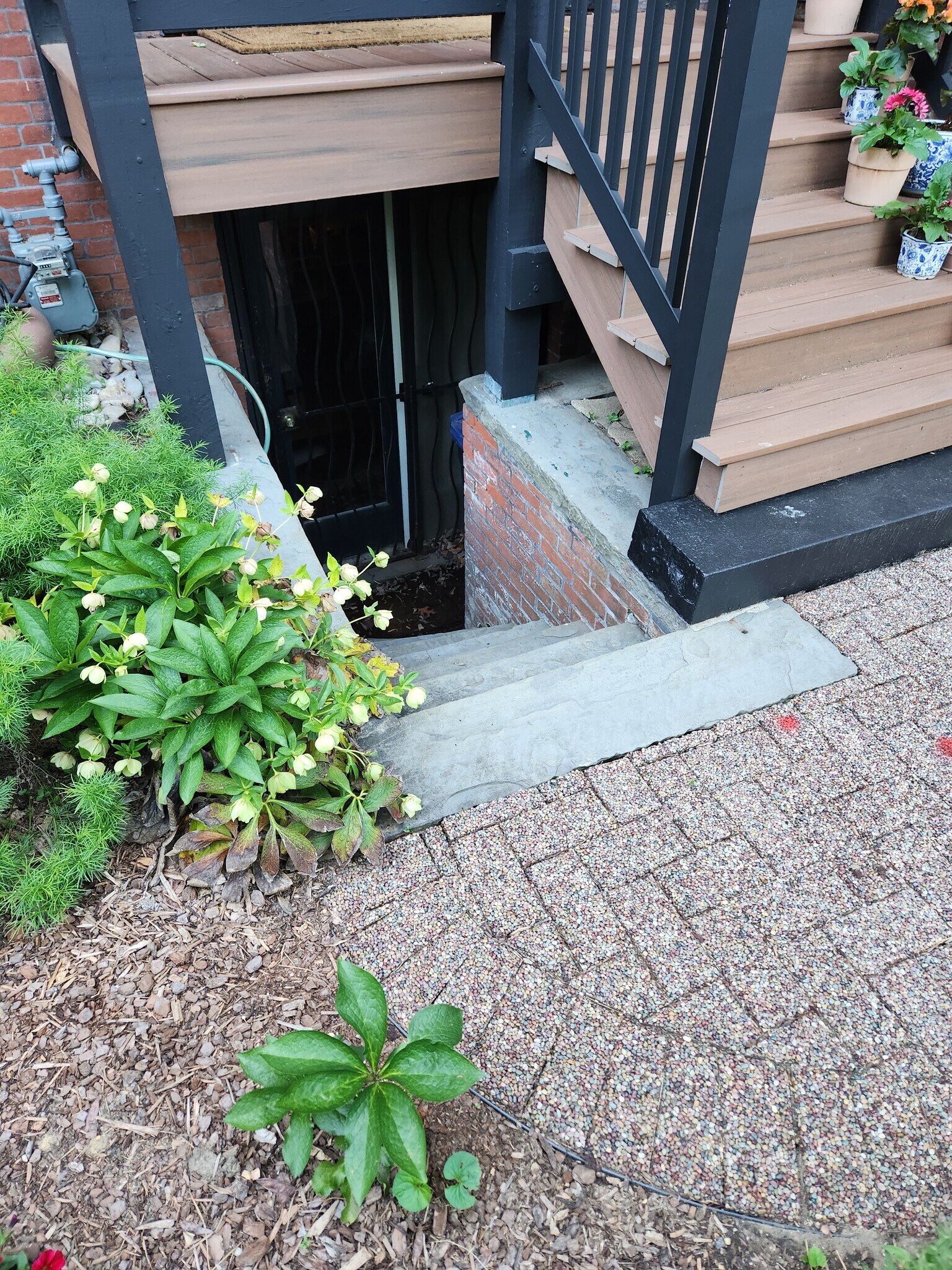 Separate entrance - 2506 Cliffbourne Pl NW