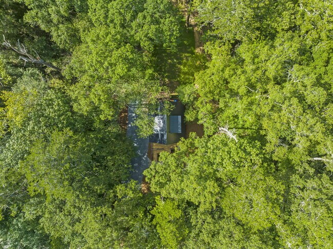 Building Photo - 493 Choctawhatchee River Rd