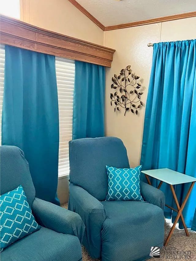 Beautiful light and comfort at home. - 11489 S Clara Anita Dr