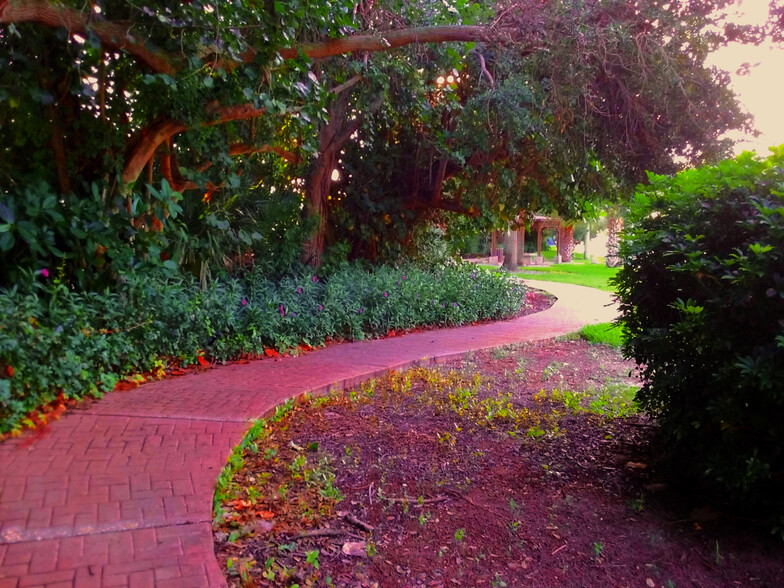 Path to Beach - 178 Long Point Rd