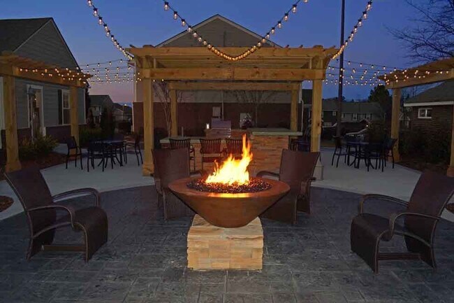 Firepit - 1325 Rebecca Bailey Dr