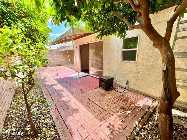 Building Photo - 5433 N 79th Pl