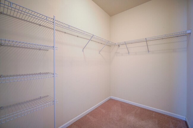 Building Photo - 4 BR/2 BA, 1 Car Garage, Charming Home in ...