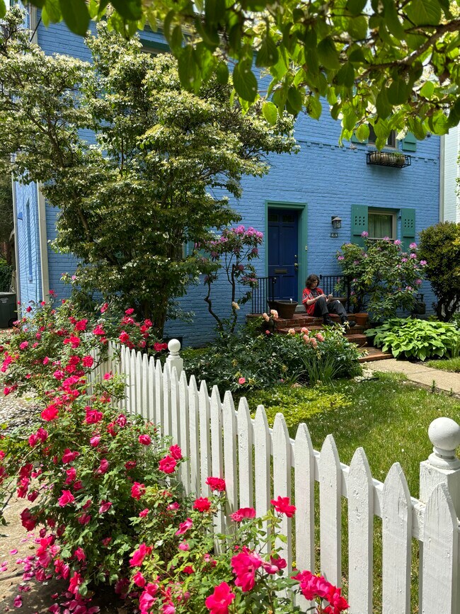 Building Photo - 4514 Albemarle St NW