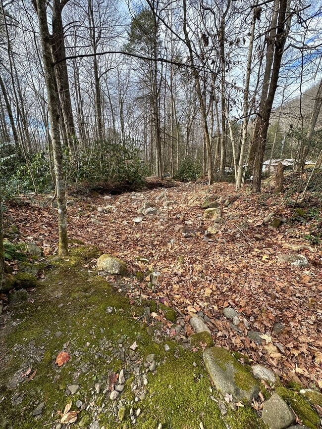 Building Photo - 2 Bedroom / 1 bath A Frame Home  Erwin, TN