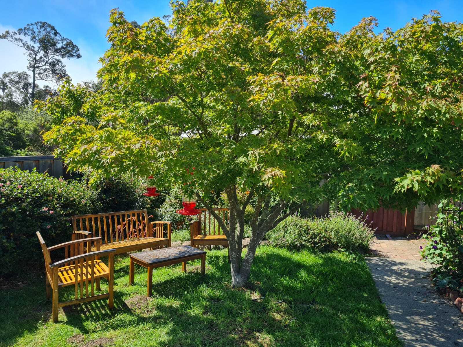 Building Photo - 5720 Soquel Dr