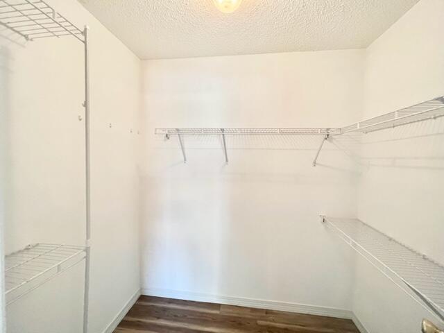 Building Photo - 305 Runnymeade Dr