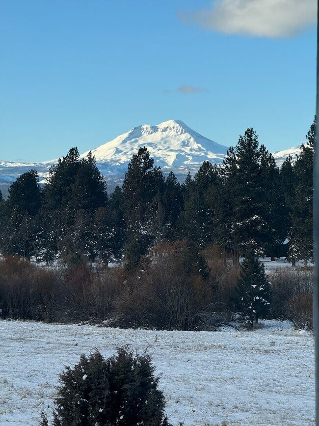 Building Photo - HUGE Dream Home bordering Indian Meadows P...