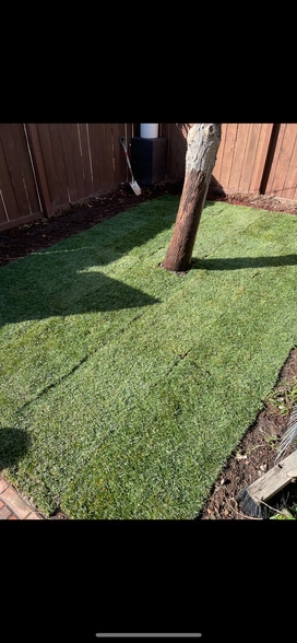 Front yard - 3943 Ingraham St