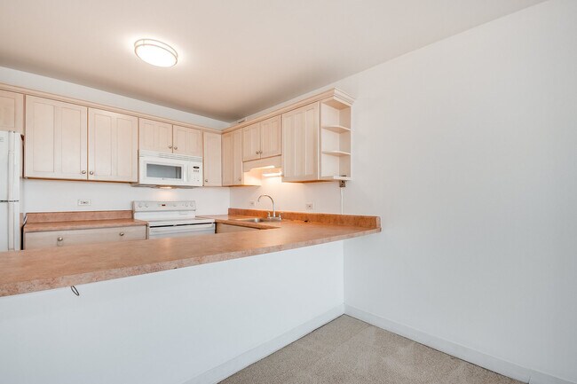 Building Photo - 1540 N La Salle Dr