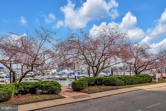 Building Photo - 1236 Harbor Island Walk