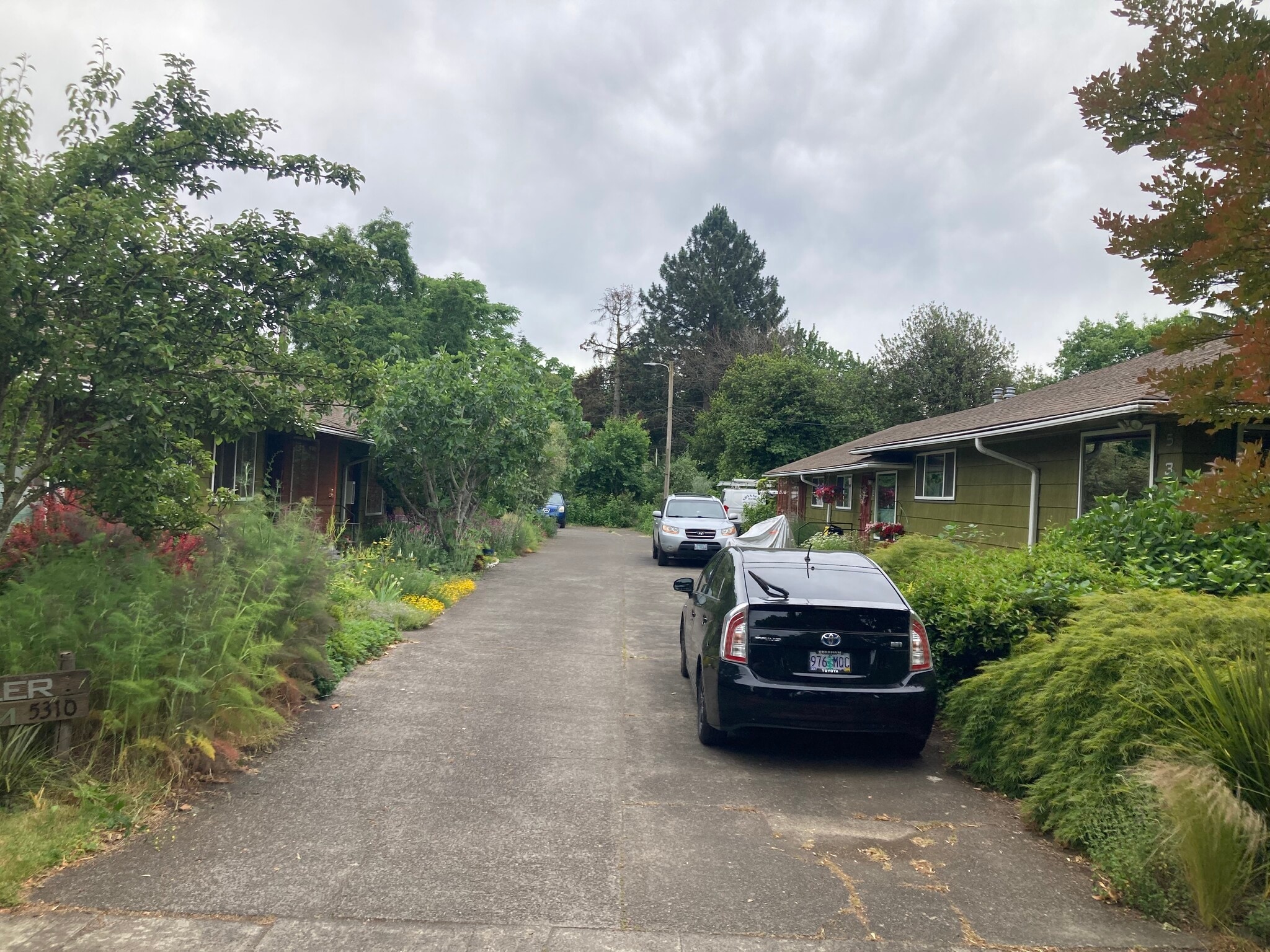 Entry Driveway - 5310 SE Schiller Street