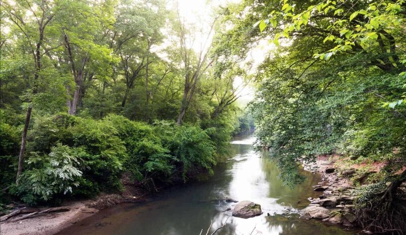 Building Photo - 1227 Yellow River Dr