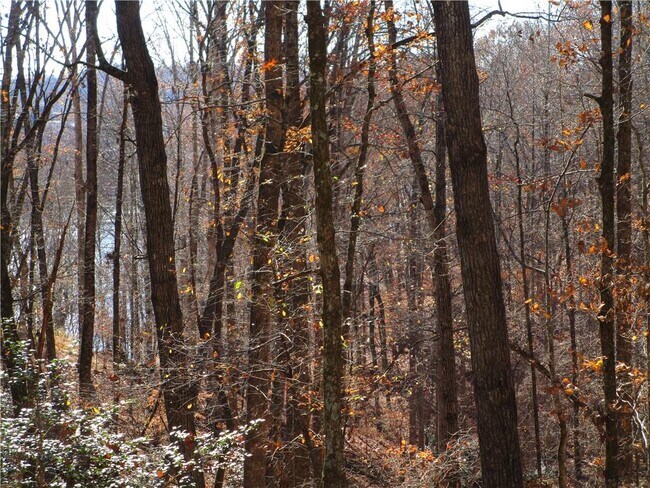 Building Photo - 2429 Thompson Mill Rd