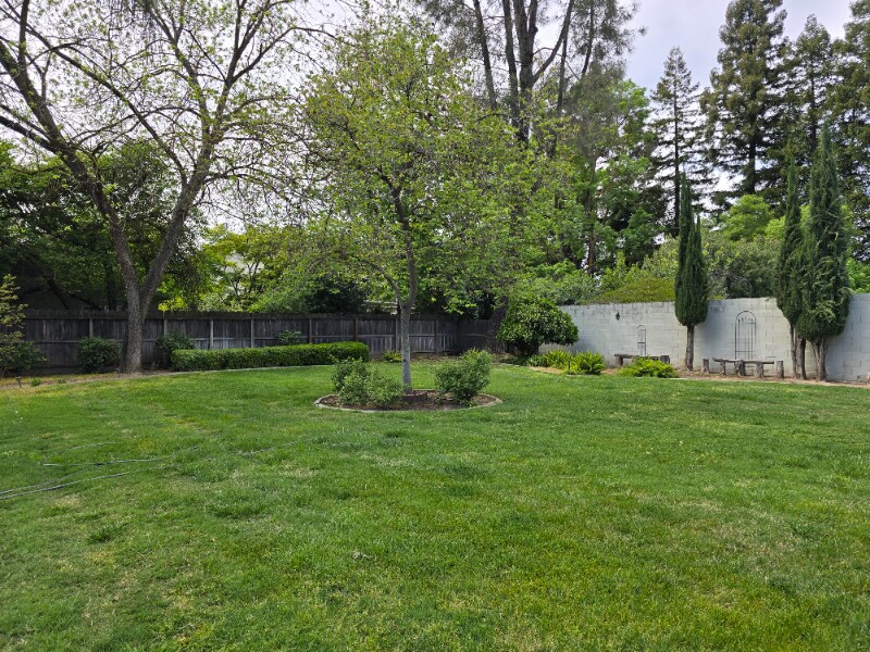 Building Photo - 917 Scenic Ct