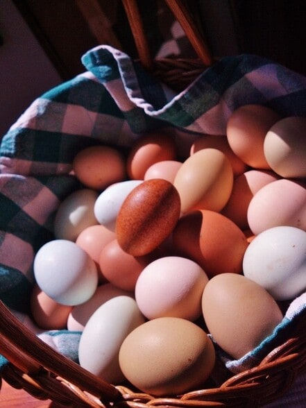 Building Photo - 1310 Hollow Rd