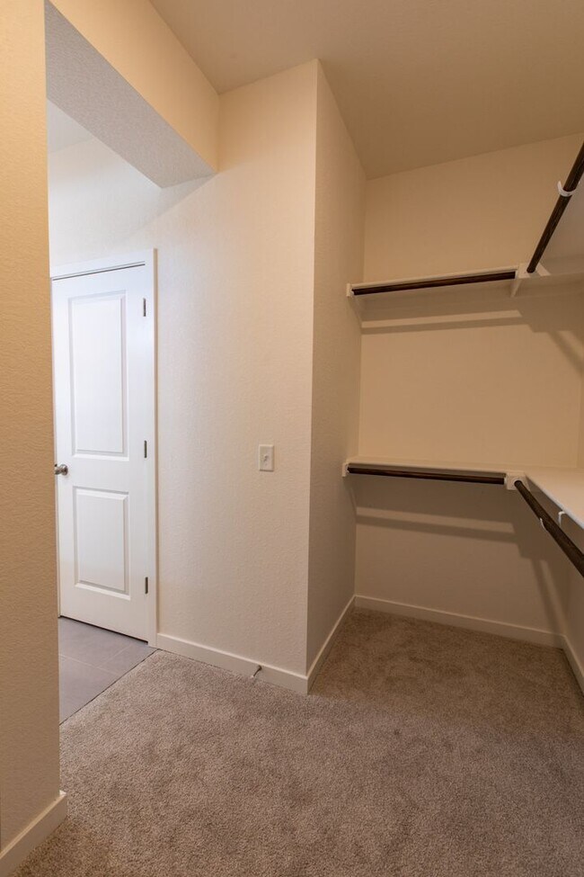 Building Photo - Stunning 4BD/3BA Home in Wolf Ranch – Mode...
