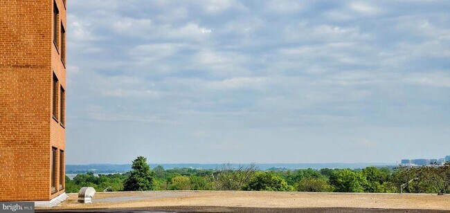 Building Photo - 1011 Arlington Blvd