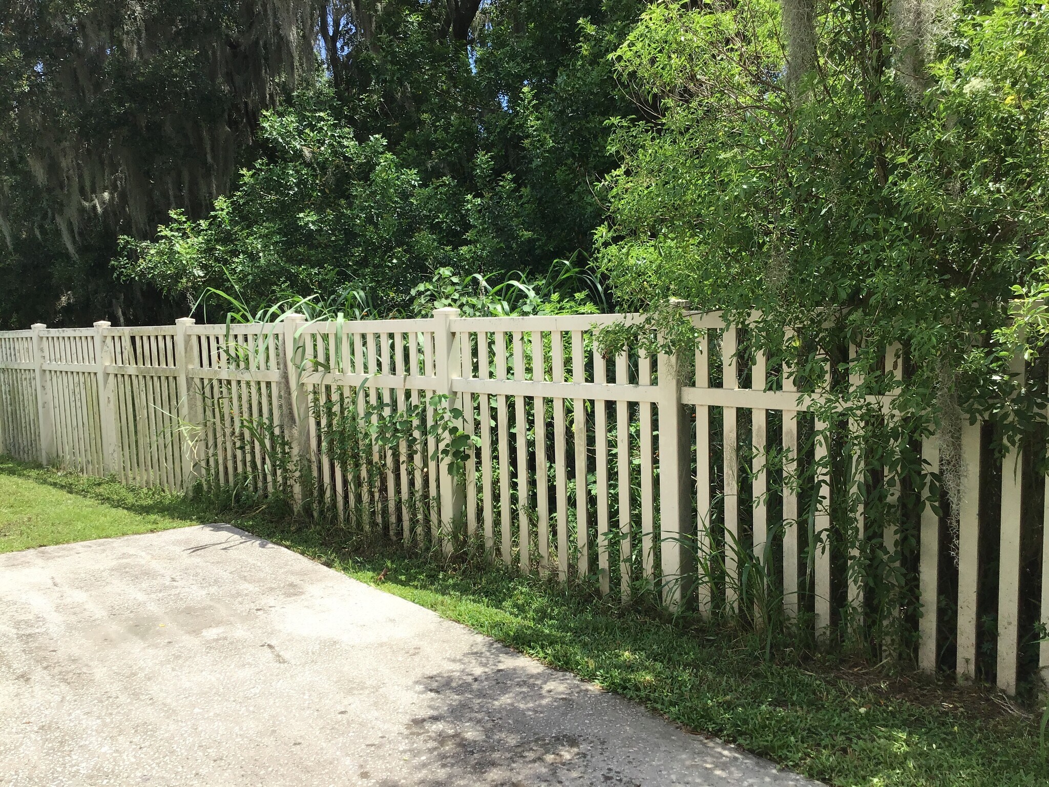 Building Photo - 332 McKay Blvd