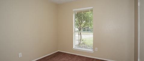 Building Photo - 7302 Thicket Trail Dr
