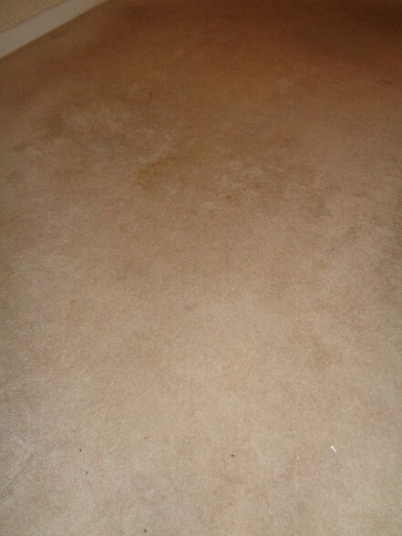 Building Photo - 51 South St