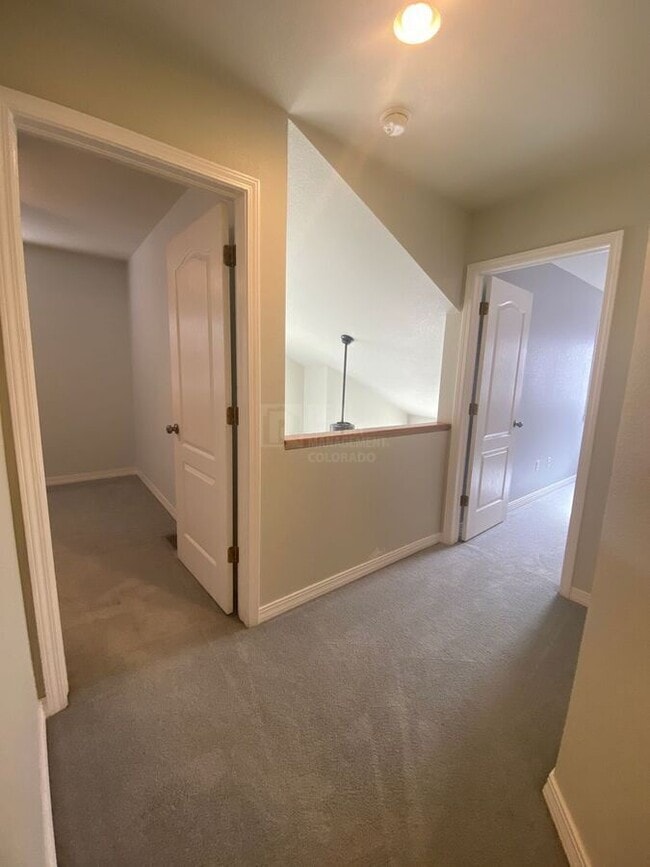 Building Photo - 1419 Red Mountain Dr