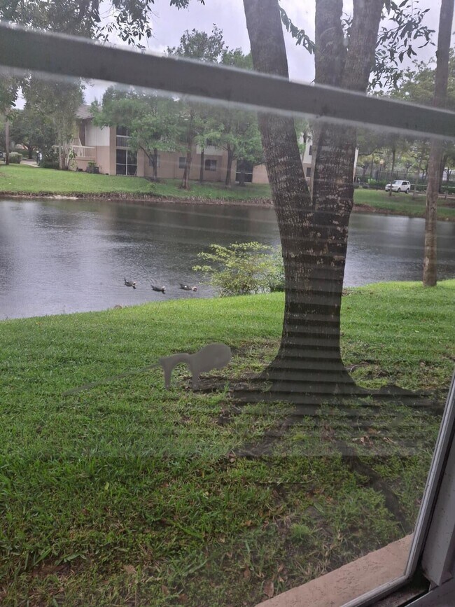 Building Photo - 9833 Westview Dr